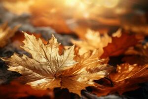 Autumn falling leaves background photo