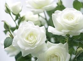White roses bouquet, white roses close up created with technology photo