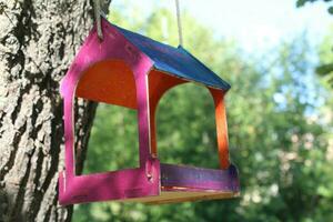 Feeders for birds in the city park photo