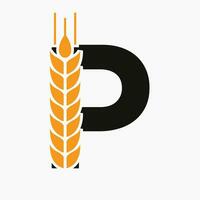 Letter P Wheat Logo For Agriculture Symbol Vector Template