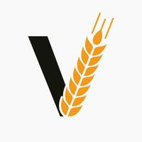 Letter V Wheat Logo For Agriculture Symbol Vector Template