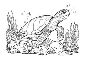 Big ocean turtle, cute striped fishes in the underwater world with algae, sand, bubbles on white isolated background. Good for kids and adults coloring book pages. vector