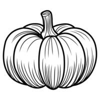 colorante página.calabaza.otoño Víspera de Todos los Santos acción de gracias día colorante libro, negro y blanco lineal ilustración. vector