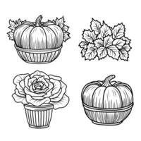 Set of autumn coloring pages with pumpkins and sunflowers.Autumn mood black and white linear illustration. vector