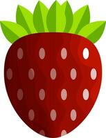 fresh fruit illustration vector