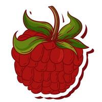 fresh single raspberry fruit vector illustration