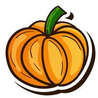 fresh pumpkin fruit single vector illustration