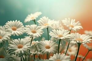 AI Generated 3D illustration Daisies blur floral background. photo