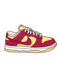 casual style sneaker png