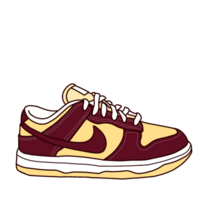 casual style sneaker png