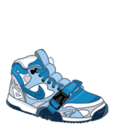 casual style sneaker high png