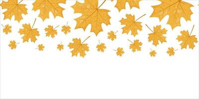 Seamless horizontal banner pattern with autumn fall yellow leaves of maple tree. Perfect for wallpaper, wrapping paper, web sites, background, social media, blog and greeting cards, advertising vector