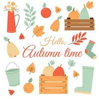 A cute set with elements of an autumn garden, with vegetables, fruits and leaves in warm colors vector