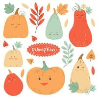funny set of cute autumn pumpkins with autumn leaves on a white background vector