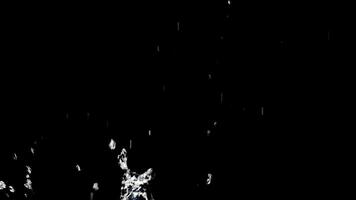 schleppend Bewegung 4x Wasser Spritzen auf schwarz Hintergrund. video