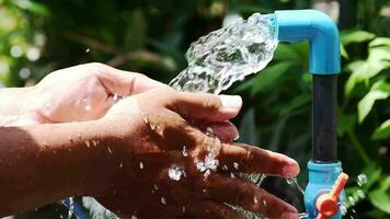 puro agua torrencial dentro masculino manos. agua gotas, agua recursos, tierra, ambiente. conservación de natural recursos. video