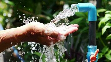 puro agua torrencial dentro masculino manos. agua gotas, agua recursos, tierra, ambiente. conservación de natural recursos. video