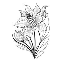 line art lily flower Free vector
