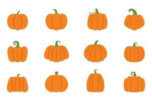 set of orange pumpkins isolated on a white background. vector