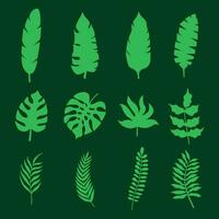 hand drawn set of monochrome green leaves vector