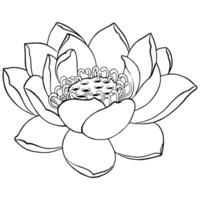 arte lineal ilustración de un loto flor vector