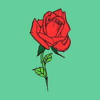 Rosa flor mano dibujar ilustración vector