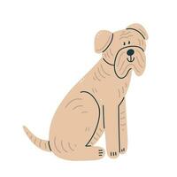 A shar pei breed dog isolated on the background. Cartoon character sitting dog. Vector illustration.