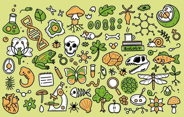 Biology Doodle Vector Art Icons And Graphics For Free Download Biology Doodle Vector Art Icons And Graphics For Free Download