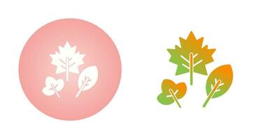 Autumn Leaf Vector Icon