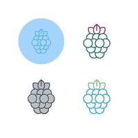 Raspberry Vector Icon