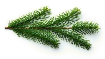 Pine branch isolated on white background. Fir tree branch isolated on white created with Generative Al technology photo