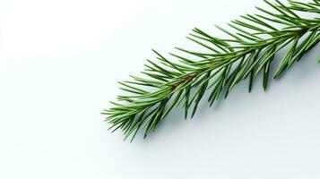 Pine branch isolated on white background. Fir tree branch isolated on white created with Generative Al technology photo