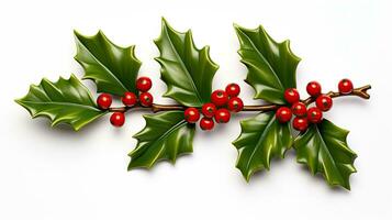 A branch of real holly, with red berries, isolated on a white background created with Generative Al technology photo