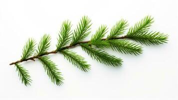 Pine branch isolated on white background. Fir tree branch isolated on white created with Generative Al technology photo