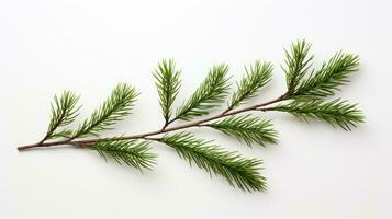 Pine branch isolated on white background. Fir tree branch isolated on white created with Generative Al technology photo