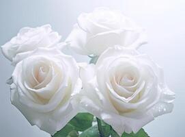 White roses bouquet, white roses close up created with Generative AI technology photo