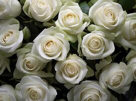 White roses bouquet, white roses close up created with Generative AI technology photo