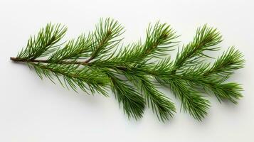 Pine branch isolated on white background. Fir tree branch isolated on white created with Generative Al technology photo