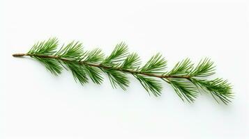 Pine branch isolated on white background. Fir tree branch isolated on white created with Generative Al technology photo