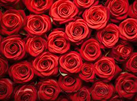 Natural red roses background created with Generative AI technology photo