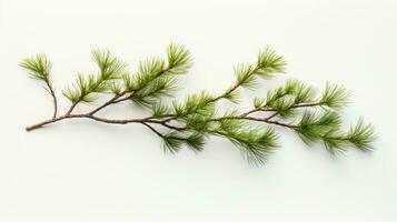 Pine branch isolated on white background. Fir tree branch isolated on white created with Generative Al technology photo