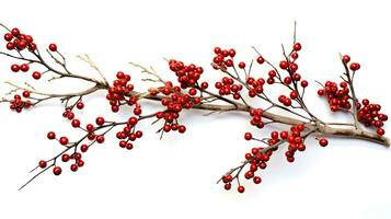 Christmas branch with red berries isolated on a white created with Generative Al technology photo