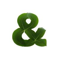 Green leaf typography text design and sign, photo