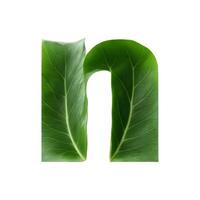 Green leaf typography text design lowercase alphabet n, AI Generative photo