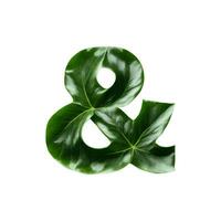 Green leaf typography text design and sign, AI Generative photo