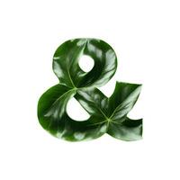 Green leaf typography text design and sign, photo