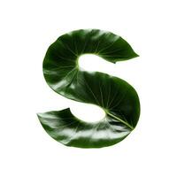 Green leaf typography text design uppercase alphabet S, AI Generative photo