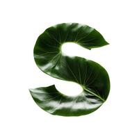Green leaf typography text design uppercase alphabet S, photo