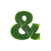 Green leaf typography text design and sign, AI Generative photo