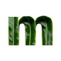 Green leaf typography text design lowercase alphabet m, AI Generative photo